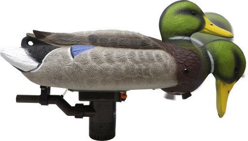 249525762.png