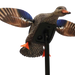 249527538.png