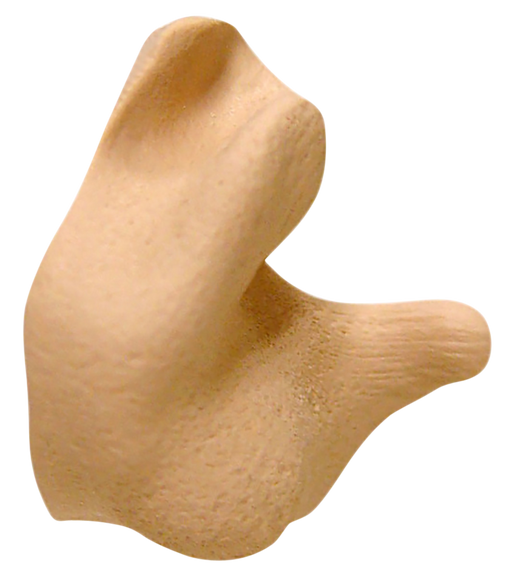 249528161.png
