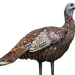 249528462.png