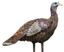 249528462.png