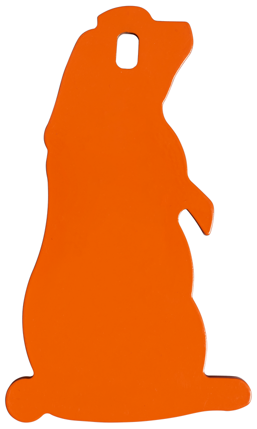 249528670.png