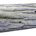 249529443.png