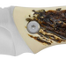 249529719.png