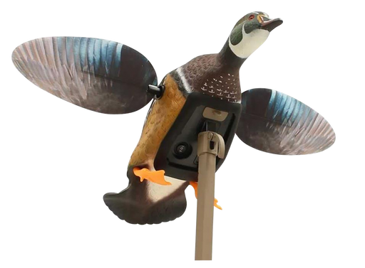 249529756.png