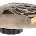 249530811.png