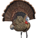 249531653.png
