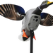 249531869.png