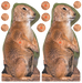 249533467.png