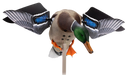 249533855.png
