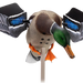 249533855.png