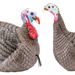 249534391.png