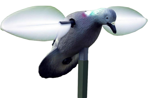 249534569.png
