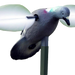 249534569.png
