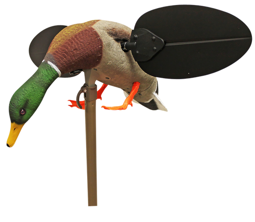 249534892.png