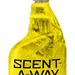 249535068.png