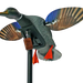 249535633.png