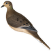 249536169.png
