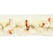 249536866.png