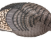 249537339.png