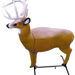 249537646.png