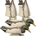 249537848.png