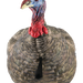 249538322.png
